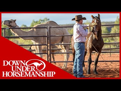 Clinton Anderson - Outback Adventure 5 of 14