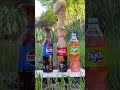 Fizzy Fights Mentos Vs Coca Cola Vs Pepsi Vs Fanta Asmr Explore