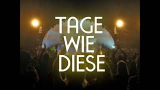 Die Toten Hosen   &quot;An Tag wie Diesen&quot; with english translation