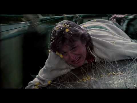 Honey, I Shrunk the Kids - Bee Ride