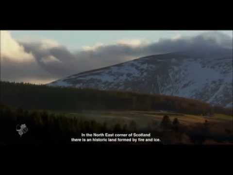 Visit the Speyside Cooperage Craigellachie Moray