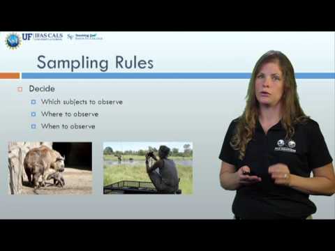 focal-sampling-method-animal-behaviour Mp4 3GP Video & Mp3 Download unlimited Videos Download focal-sampling-method-animal-behaviour Mp4 3GP Video & Mp3 Download unlimited Videos Download
