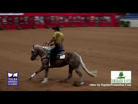Wimpys Gata Shiner ridden by Dean B. Brown  - 2016 Tulsa Reining Classic (Dev. Horse-Sec. B)