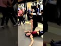 Zombie Apocalypse Prank