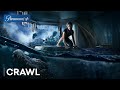 Crawl (2019) Official Trailer | Paramount+
