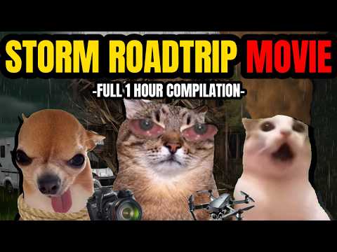 CAT MEMES: THE ULTIMATE STORM ROADTRIP 1 HOUR COMPILATION
