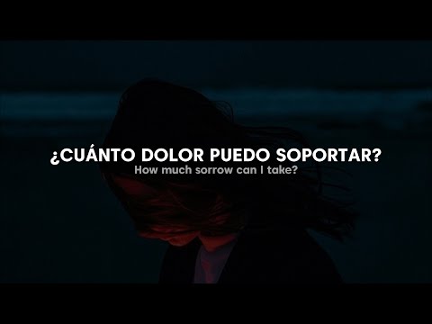 Sufjan Stevens - Mystery of Love (Traducida al Español + Lyrics)