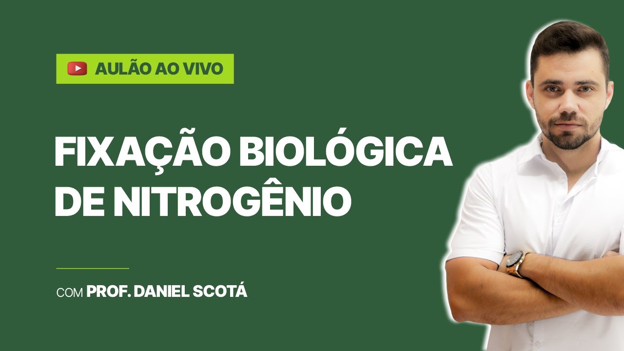 AULÃO - Fixação biológica de nitrogênio