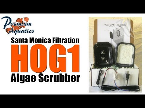 Santa Monica Filtration HOG1 Algae Scrubber