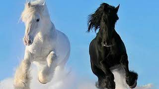 CABALLO VOLADOR -  MANOLO ESCOBAR