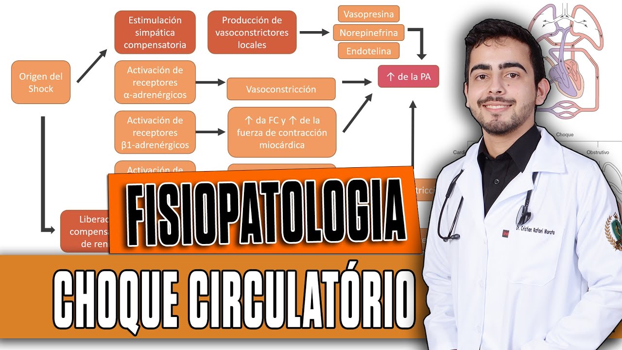 Insuficiência/Choque Circulatório [PARTE 1/4] │ Fisiopatologia