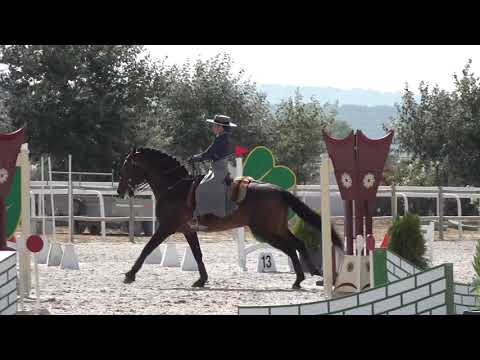 Velocidade - Endiabrado e Nicole