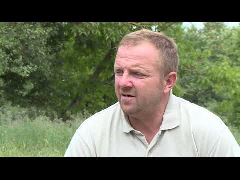 ZAPIS O ZEMLJI - Zijad Bačić, čovjek kome su u Prijedoru ubili 29 članova porodice