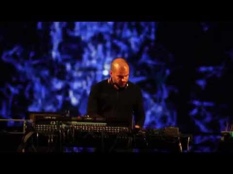 the sixth wave of mass extinction