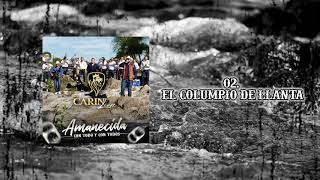 El Columpio De La Llanta Lyrics English Translation