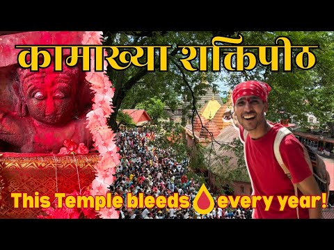 Kamakhya Temple via Ambubachi Mela । Kamakhya Mandir Documentary । Wanderer Abhishek