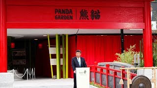 Xi, Merkel unveil China's gift pandas' new home in Berlin