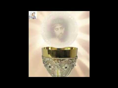 L'Eucaristia è la sorgente dell'Amore. Commento al Vangelo