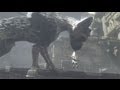 Where is The Last Guardian? - TGS 2013 - YouTube