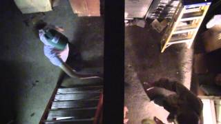 Islands- &quot;Where There&#39;s a Will, There&#39;s a Whalebone&quot; Unofficial music video