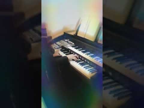 Órgão Tokai MD 750S