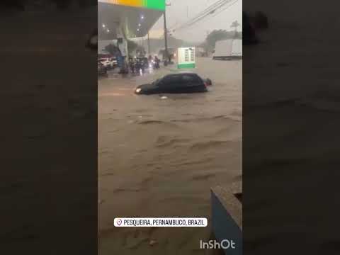 Pesqueira em Pernambuco
