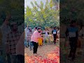 Nuv Puvvulu Allukoni Potunnave Athagarintiki Song Viral Folk Trendingsongs Like Follow Lovefail