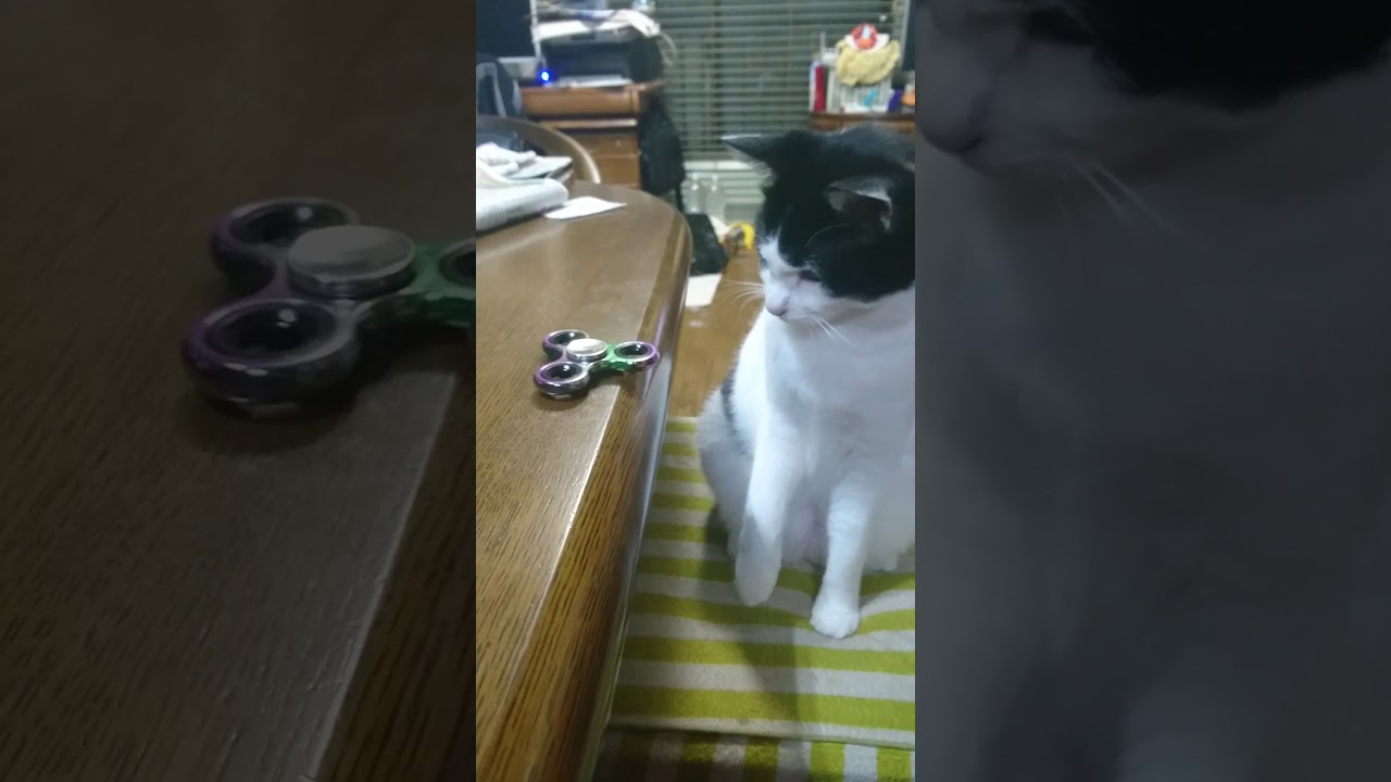 メイちゃん ハンドスピナー