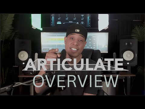 Free Download Articulate v1.1.0 Transient Shaper AAX VST3 x64 WiN-R2R