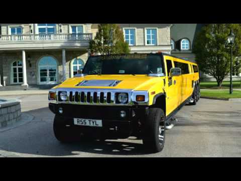 download lagu mp3 mp4 Limousine Vienna, download lagu Limousine Vienna gratis, unduh video klip Limousine Vienna