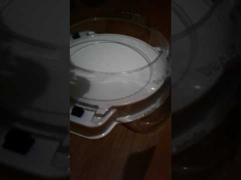 Obelisk Odin vs Unlock Unicorn