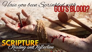 PFL-Daily Scripture Reading and Reflection - Have You Been Sprinkled With Gods Blood? July 29, 2023