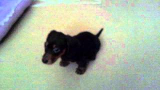 video-2012-06-03-06-59-40.3gp