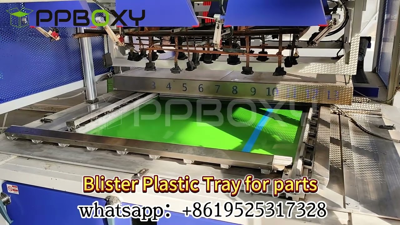 PPBOXY Blister Tray: Durable, Customizable, and Eco-Friendly Packaging