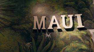 Visit Boca Raton's Elite Spa | Mau Spa & Wellness Center