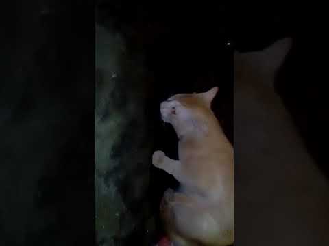 GrrrGrrrGrrr 😂😂😂