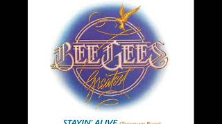 Bee Gees - Stayin&#39; Alive (Teddybears Remix) (2007)