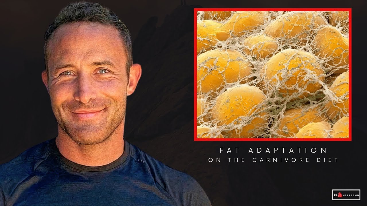 🔴 How Long Does It Take To Get Fat-Adapted?