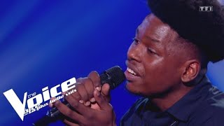 Michel Jonasz - Je voulais te dire que je t'attends - Hanna | The Voice 2023 | Super Cross...