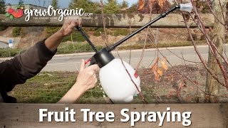 Fruit Tree Spraying For Dormant, Bare Root Trees