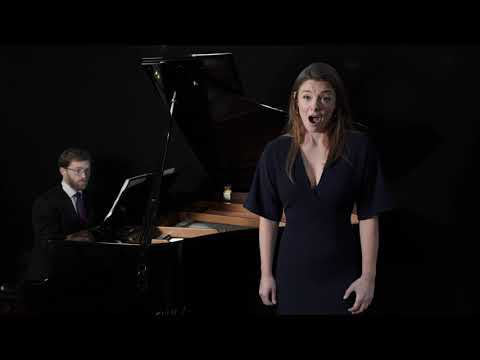 Gwynfyd - Meirion Williams