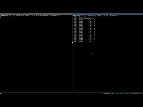 RIDL from JavaScript
