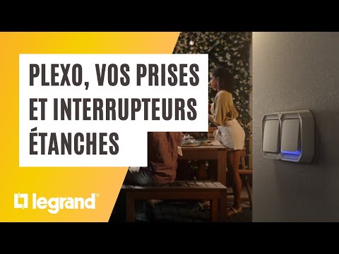 LEGRAND Plexo Interrupteur Va Et Vient Et Prise De Courant 2P+T étanches  Complet Gris IP55 - DiscountElec