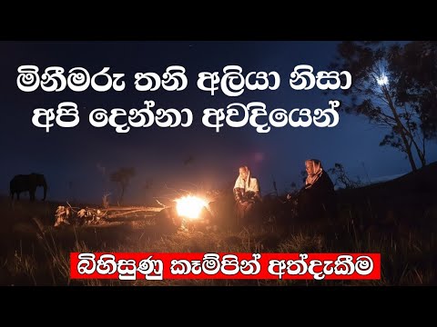 මරණයට අත වනන කඳවුරු රාත්‍රිය | මකල්දෙණිය පතන | Macaldeniya Camping Night 