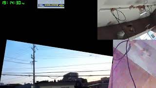 【ツバメさんSwallow】20230729電線空配信´・ω・｀)Wild birds