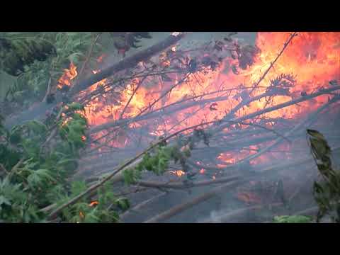 Barron County Storm Damage