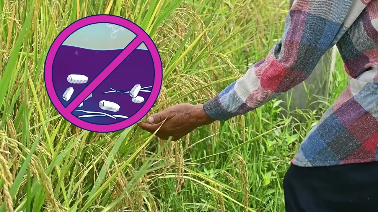 Tackling methane emissions from agriculture