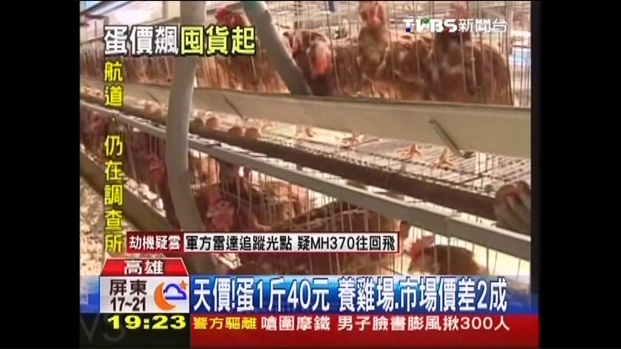溫差大缺蛋? 早餐、餐廳業者疑人為哄抬