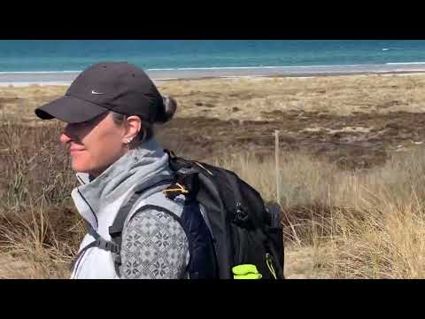 Vandreruter på Læsø - Østerby til Vesterø, ca 15 km, en del af Læsøs Ø-Camino
