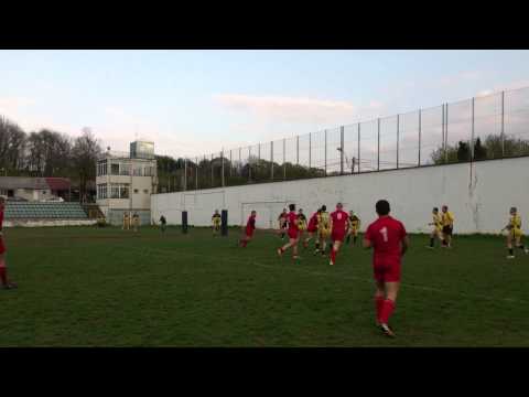 RLK Crvena Zvezda esej 1